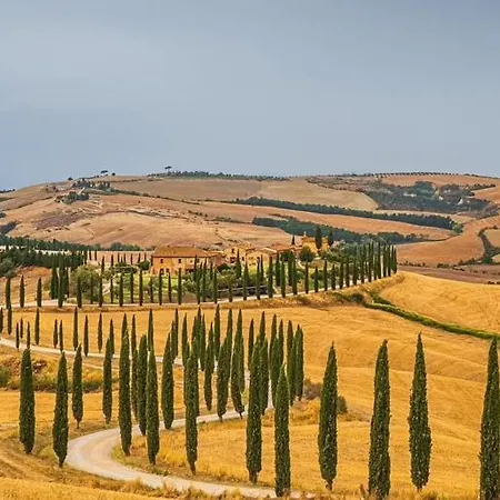 Baccoleno Farma *